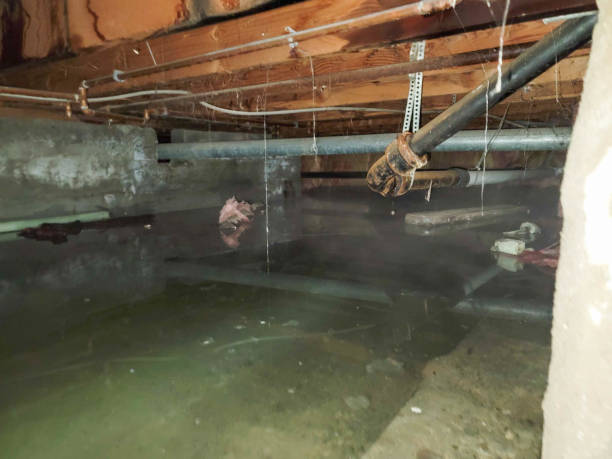 Best Fire Damage Restoration  in Newark, DE