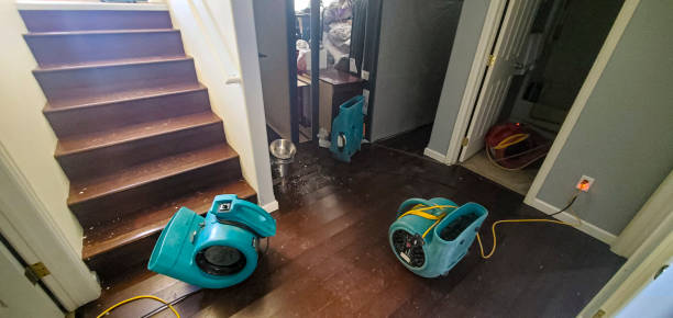 Best 24-hour water damage restoration  in Newark, DE