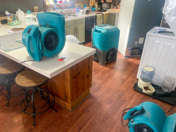 Reliable DE Water damage restoration Solutions