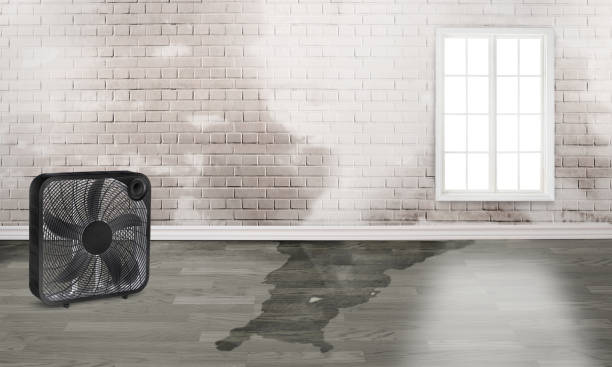 Best Water damage restoration near me  in Newark, DE