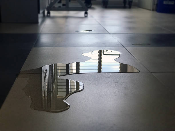 Best Water damage restoration cost  in Newark, DE