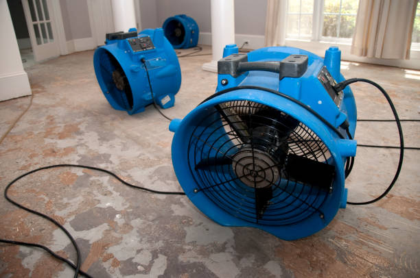 Best Water damage contractors near me  in Newark, DE
