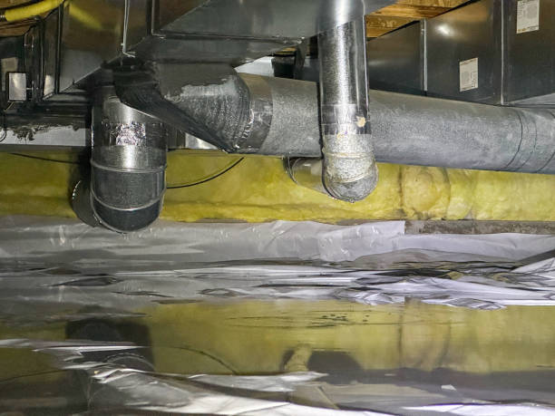Best Sewage cleanup and water damage restoration  in Newark, DE