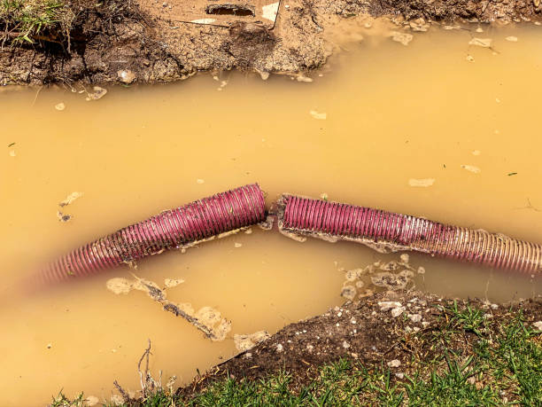 Best Water damage restoration company  in Newark, DE