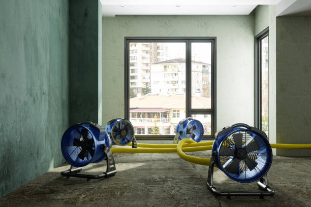 Best Mold removal after water damage  in Newark, DE