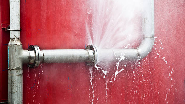 Best Sewage cleanup and water damage restoration  in Newark, DE