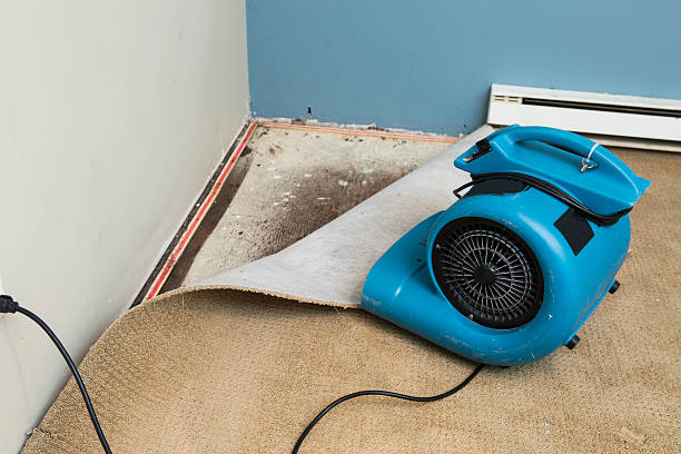 Best Local water damage restoration  in Newark, DE